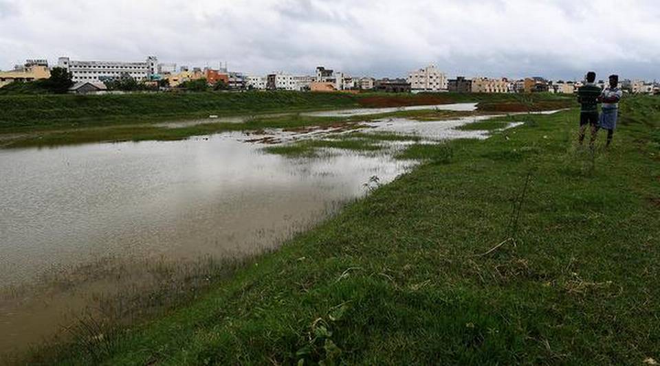 Neglected waterbodies spring to life